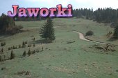 jaworki33.jpg